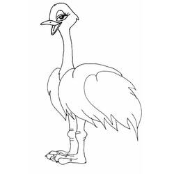 Coloring page: Ostrich (Animals) #676 - Free Printable Coloring Pages