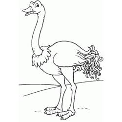Coloring page: Ostrich (Animals) #677 - Free Printable Coloring Pages