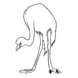 Coloring page: Ostrich (Animals) #681 - Free Printable Coloring Pages