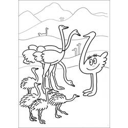 Coloring page: Ostrich (Animals) #722 - Free Printable Coloring Pages
