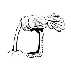Coloring page: Ostrich (Animals) #748 - Free Printable Coloring Pages