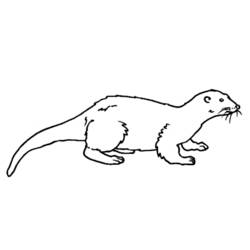 Coloring page: Otter (Animals) #10643 - Free Printable Coloring Pages
