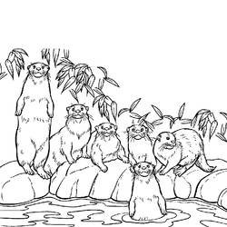 Coloring page: Otter (Animals) #10644 - Free Printable Coloring Pages