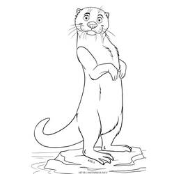 Coloring page: Otter (Animals) #10650 - Free Printable Coloring Pages