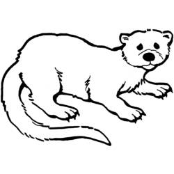 Coloring page: Otter (Animals) #10653 - Free Printable Coloring Pages
