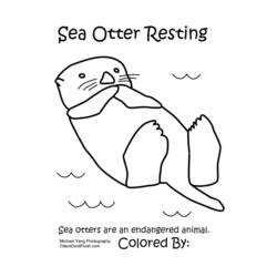 Coloring page: Otter (Animals) #10654 - Free Printable Coloring Pages
