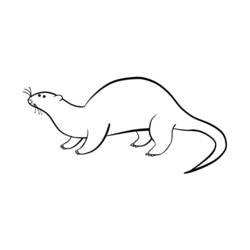 Coloring page: Otter (Animals) #10680 - Free Printable Coloring Pages