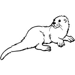 Coloring page: Otter (Animals) #10684 - Free Printable Coloring Pages