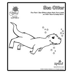 Coloring page: Otter (Animals) #10698 - Free Printable Coloring Pages