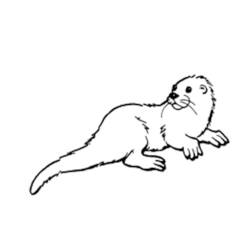 Coloring page: Otter (Animals) #10735 - Free Printable Coloring Pages