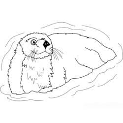 Coloring page: Otter (Animals) #10762 - Free Printable Coloring Pages