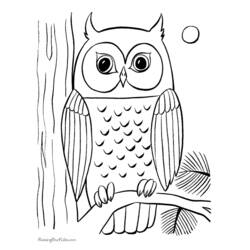 Coloring page: Owl (Animals) #8443 - Free Printable Coloring Pages