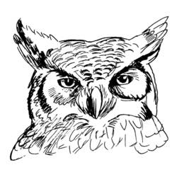 Coloring page: Owl (Animals) #8457 - Free Printable Coloring Pages