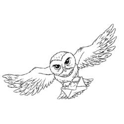 Coloring page: Owl (Animals) #8528 - Free Printable Coloring Pages