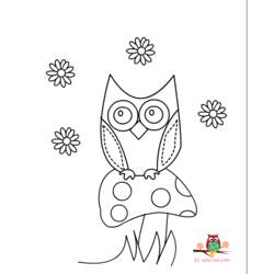 Coloring page: Owl (Animals) #8530 - Free Printable Coloring Pages
