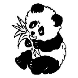 Coloring page: Panda (Animals) #12438 - Free Printable Coloring Pages