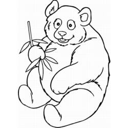 Coloring page: Panda (Animals) #12455 - Free Printable Coloring Pages