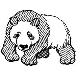 Coloring page: Panda (Animals) #12462 - Free Printable Coloring Pages