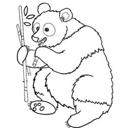 Coloring page: Panda (Animals) #12463 - Free Printable Coloring Pages
