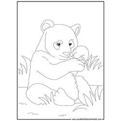 Coloring page: Panda (Animals) #12488 - Free Printable Coloring Pages