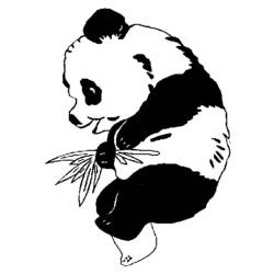 Coloring page: Panda (Animals) #12499 - Free Printable Coloring Pages