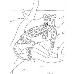 Coloring page: Panther (Animals) #15557 - Free Printable Coloring Pages