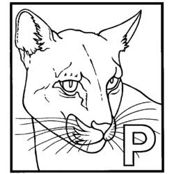 Coloring page: Panther (Animals) #15594 - Free Printable Coloring Pages