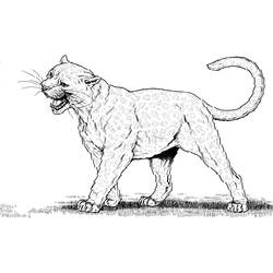 Coloring page: Panther (Animals) #15596 - Free Printable Coloring Pages