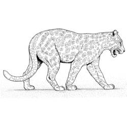 Coloring page: Panther (Animals) #15617 - Free Printable Coloring Pages