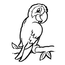 Coloring page: Parrot (Animals) #16061 - Free Printable Coloring Pages