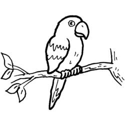 Coloring page: Parrot (Animals) #16074 - Free Printable Coloring Pages
