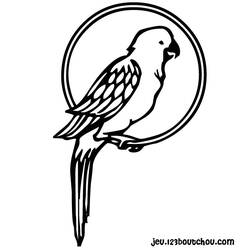 Coloring page: Parrot (Animals) #16080 - Free Printable Coloring Pages