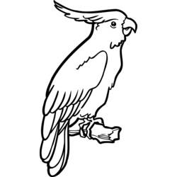 Coloring page: Parrot (Animals) #16081 - Free Printable Coloring Pages