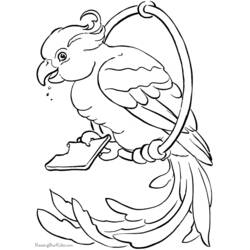Coloring page: Parrot (Animals) #16141 - Free Printable Coloring Pages