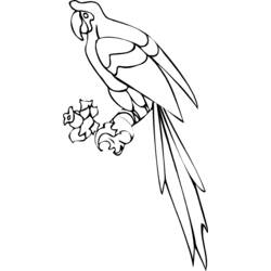 Coloring page: Parrot (Animals) #16184 - Free Printable Coloring Pages
