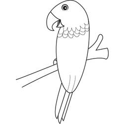 Coloring page: Parrot (Animals) #16239 - Free Printable Coloring Pages
