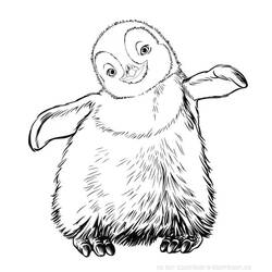 Coloring page: Penguin (Animals) #16887 - Free Printable Coloring Pages