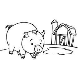 Coloring page: Pig (Animals) #3598 - Free Printable Coloring Pages