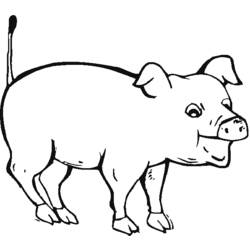 Coloring page: Pork (Animals) #17631 - Free Printable Coloring Pages