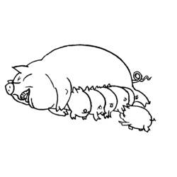 Coloring page: Pork (Animals) #17643 - Free Printable Coloring Pages