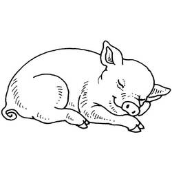Coloring page: Pork (Animals) #17679 - Free Printable Coloring Pages