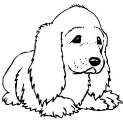 Coloring page: Puppy (Animals) #2898 - Free Printable Coloring Pages