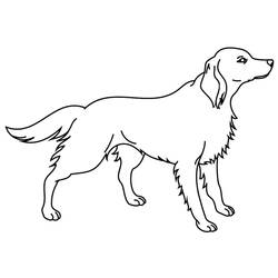 Coloring page: Puppy (Animals) #2995 - Free Printable Coloring Pages
