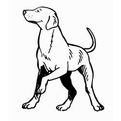 Coloring page: Puppy (Animals) #3014 - Free Printable Coloring Pages