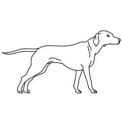 Coloring page: Puppy (Animals) #3080 - Free Printable Coloring Pages