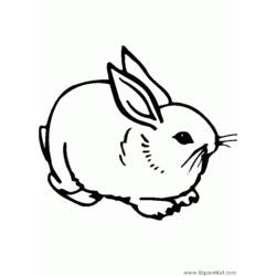 Coloring page: Rabbit (Animals) #9610 - Free Printable Coloring Pages