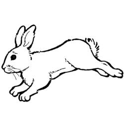 Coloring page: Rabbit (Animals) #9702 - Free Printable Coloring Pages