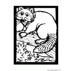 Coloring page: Raccoon (Animals) #19994 - Free Printable Coloring Pages