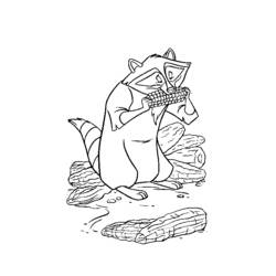Coloring page: Raccoon (Animals) #20009 - Free Printable Coloring Pages