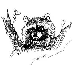 Coloring page: Raccoon (Animals) #20018 - Free Printable Coloring Pages